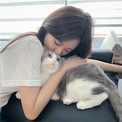 情寻猫脚印